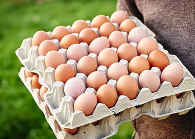 Frische Eier Bauernhof Glabach Neuwied